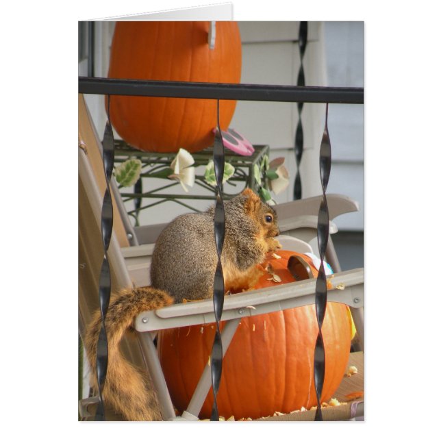 Squirrel and pumpkin card (Front)