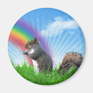 Squirrel and Rainbow Sky Magnet