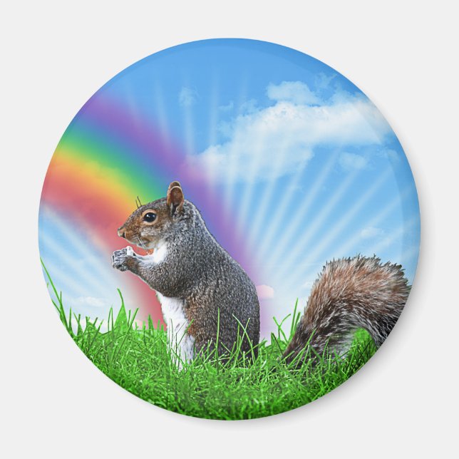 Squirrel and Rainbow Sky Magnet (Front)