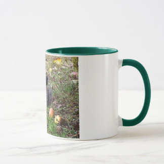 Squirrel And Steller Jay Animal Mug