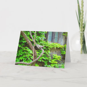 Squirrel And Vines Blank Greeting Card