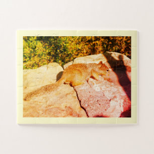 Squirrel animal jigsaw puzzle
