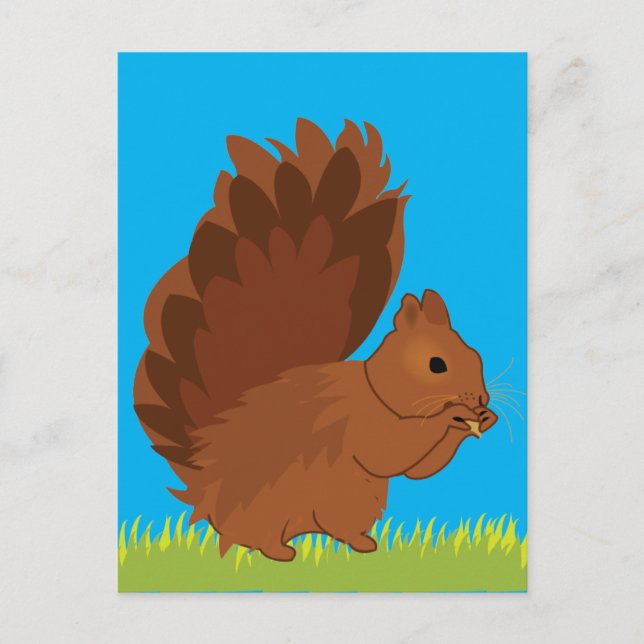 Squirrel Animal  Postcard (Front)