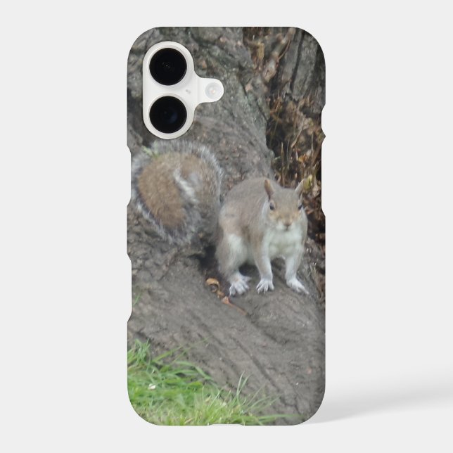 Squirrel Apple iPhone X, Barely TherePhoneCase (Back)