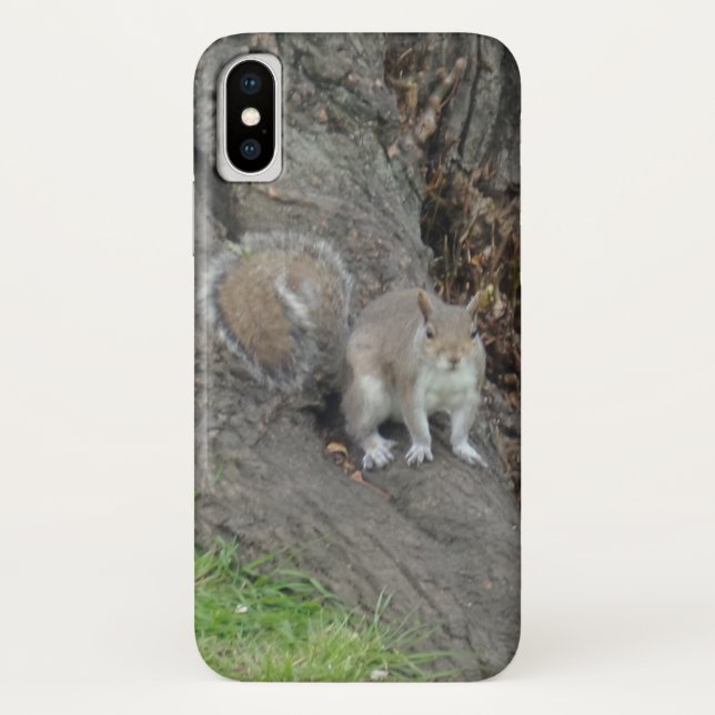 Squirrel Apple iPhone X, Barely TherePhoneCase Case-Mate iPhone Case (Back)