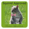 Squirrel Approved Stickers