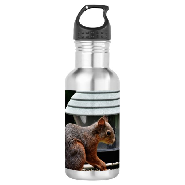 Squirrel at the Bird Feeder 532 Ml Water Bottle (Front)