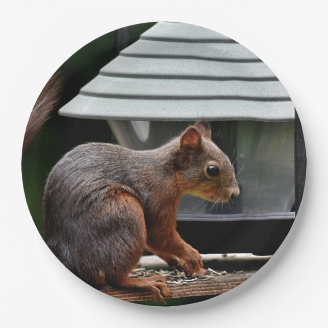 Squirrel at the Bird Feeder Paper Plate (Front)