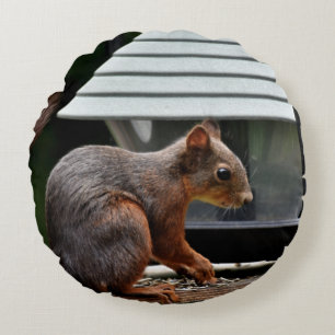 Squirrel at the Bird Feeder Round Cushion