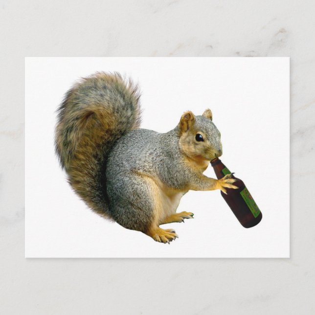Squirrel Beer Postcard (Front)
