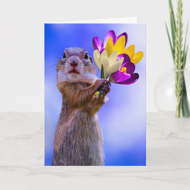 SQUIRREL BIRTHDAY CARDS (Front)