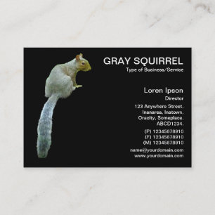 Squirrel - Black Business Card
