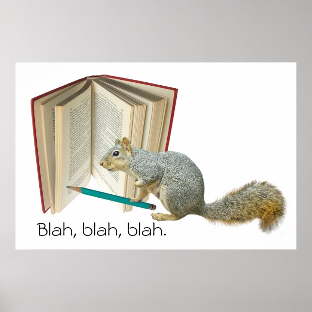 Squirrel Book Pencil Poster (Front)