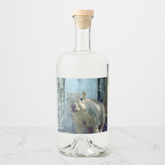 Squirrel Bottle Label (Front)