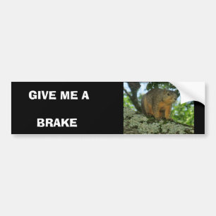 Squirrel bumper sticker