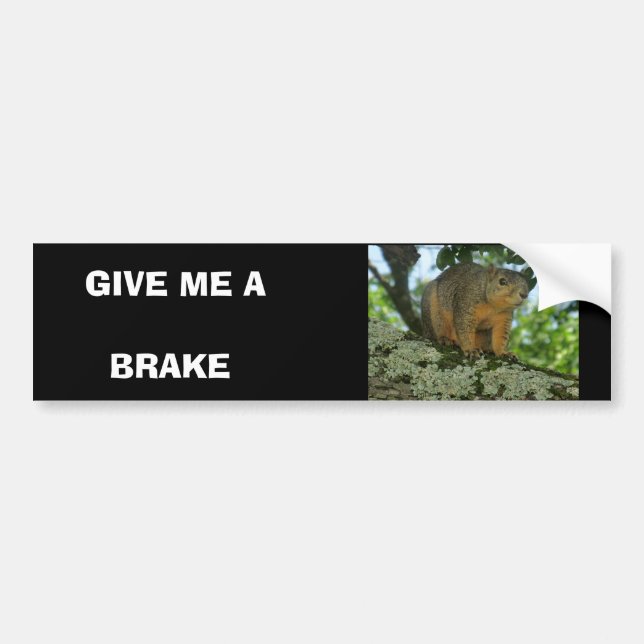 Squirrel bumper sticker (Front)