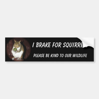 Squirrel bumper sticker featuring "Summer"