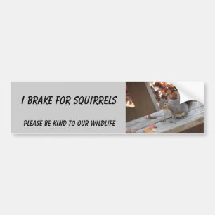 Squirrel bumper sticker featuring "Summer"
