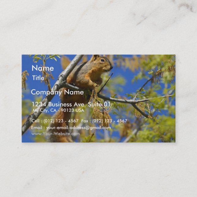 Squirrel Business Card (Front)