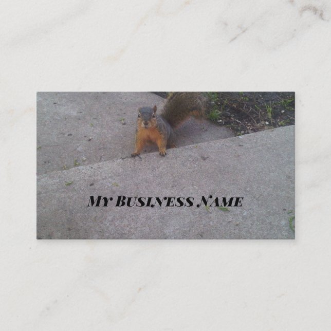 Squirrel Business Cards (Front)