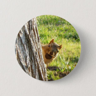 Squirrel button