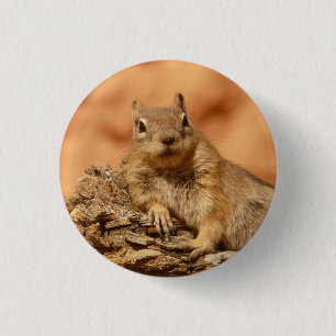 Squirrel - Button