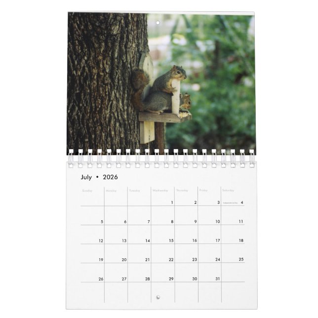 Squirrel Calendar (Jul 2026)