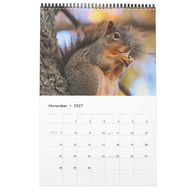 Squirrel Calendar (Nov 2027)