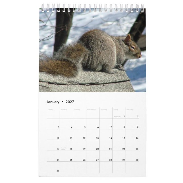 Squirrel Calendar 2013 (Jan 2027)