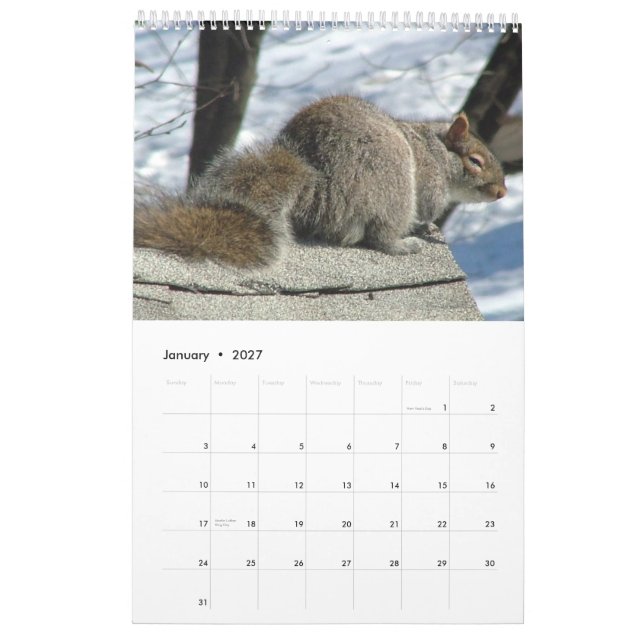 Squirrel Calendar 2013 (Jan 2027)