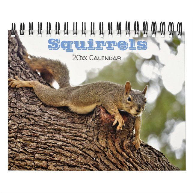 Squirrel Calendar for animal lovers or gag gift (Cover)