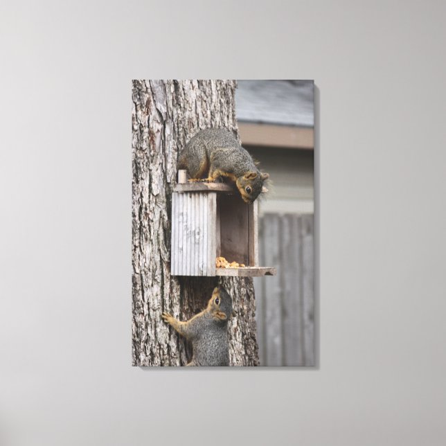 Squirrel Canvas Print (Front)