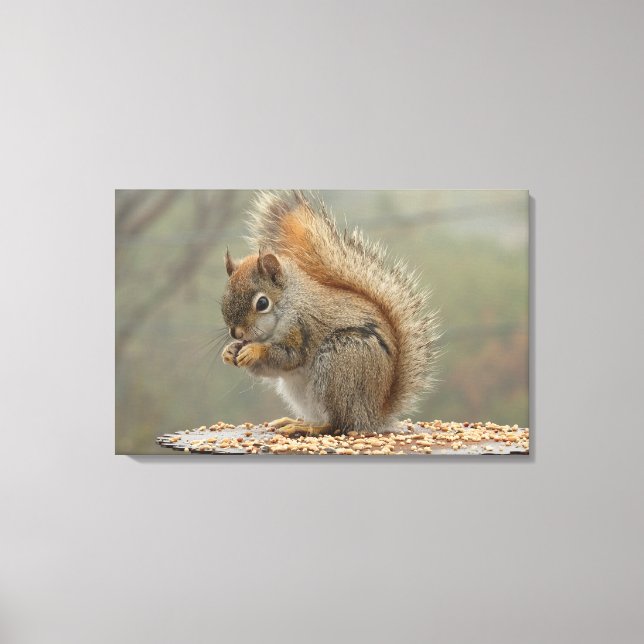 Squirrel Canvas Print (Front)