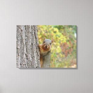 Squirrel canvas print