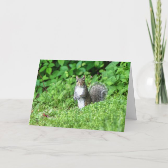 Squirrel Card (Front)