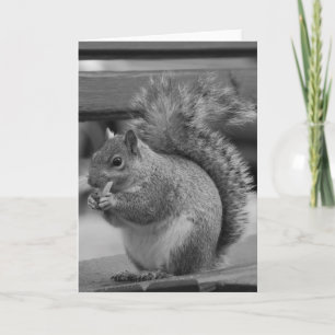 Squirrel Card