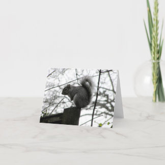 Squirrel Card