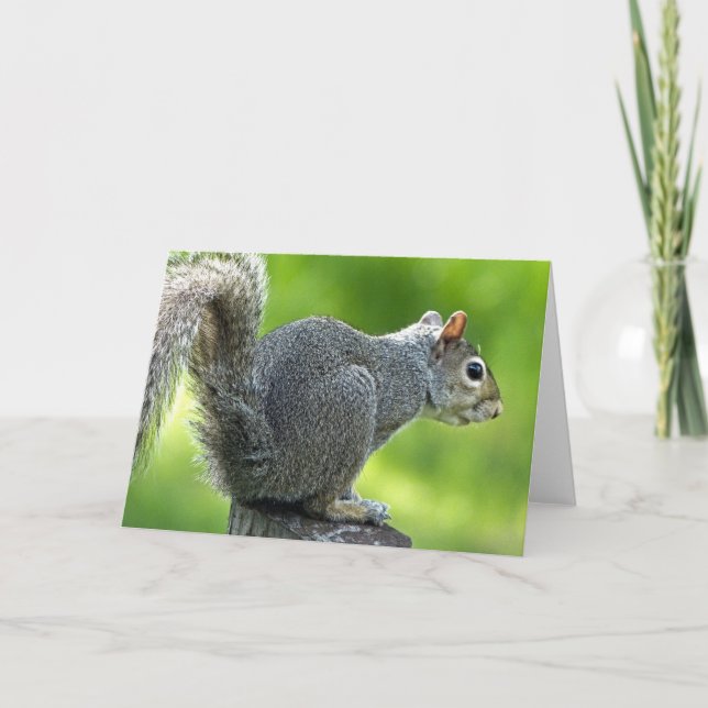 Squirrel Card (Front)