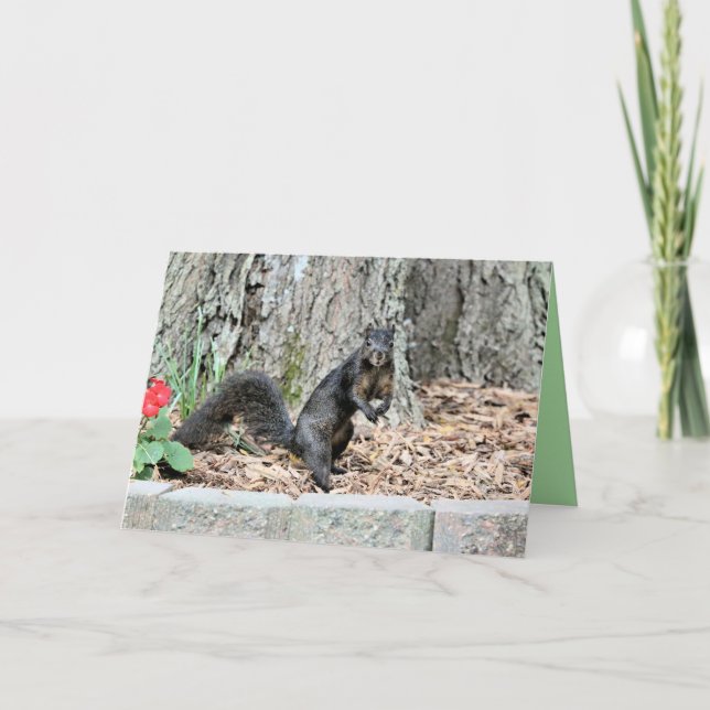 Squirrel Card (Front)