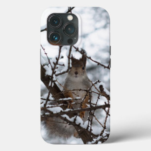 Squirrel iPhone 13 Pro Case