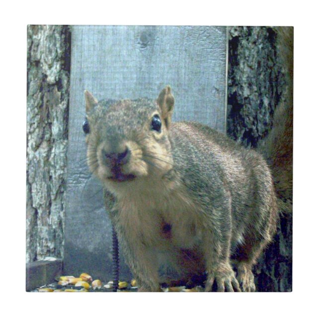 Squirrel Ceramic Tile (Front)