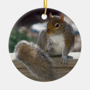 Squirrel Ceramic Tree Decoration