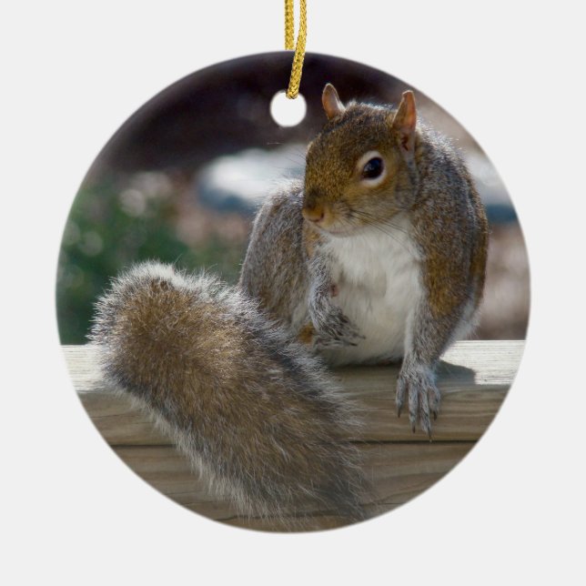 Squirrel Ceramic Tree Decoration (Front)