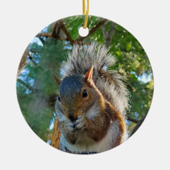 Squirrel Ceramic Tree Decoration (Front)