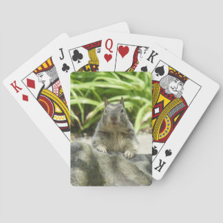 Squirrel Chilling in the Shade Playing Cards