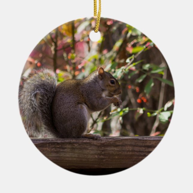 Squirrel Chow Time Ceramic Tree Decoration (Front)