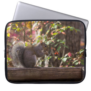 Squirrel Chow Time Laptop Sleeve