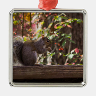 Squirrel Chow Time Metal Tree Decoration