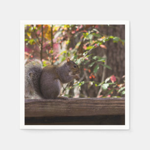 Squirrel Chow Time Napkin