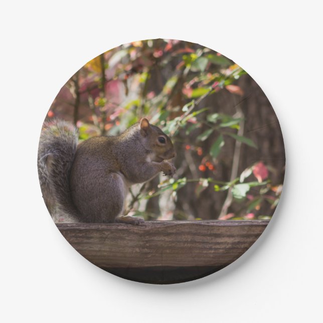 Squirrel Chow Time Paper Plate (Front)